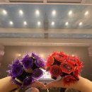 휴맥스 짐 | Buster Bros!!! ＆ Bad Ass Temple」 부쿠나고 참전 후기(2/2): 라이브 DAY2 그리고 집으로 가자...