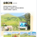 2110 | 후쿠오카 근교 당일치기 추천｜유후인 벳부 다자이후 유투어버스(한국인 가이드) 솔직 후기