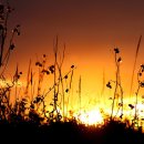 자연풍경2 이미지