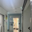 [포항 피부관리]인셀덤 체험 후기
