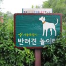 강아지놀이터 이미지