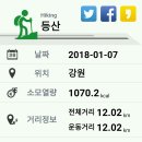 거목 이미지