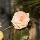 진주대로주유소 이미지