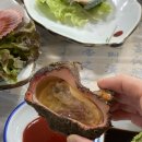 신선2호 이미지