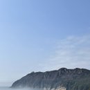 홍포촌닭