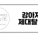 다산마리동물병원 이미지