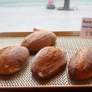 일산 건강빵 빵집 심플리브레드 (simply bread)
