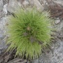 고음농장 이미지