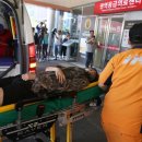 조은누리 이미지