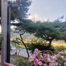 용담명가국수 | [공지] [경주 현곡 신상 카페] 금장 마운틴뷰 cafe 중산 추천 후기