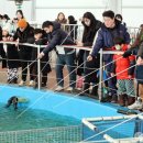 평창낚시 이미지