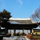 달성금방 Daum카페