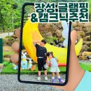 장성 글램핑 더숲 당일글램핑&amp;캠크닉 리얼후기 아이들과 힐링 제대로!
