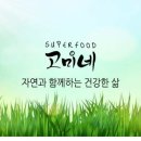 (주)콩고미 이미지
