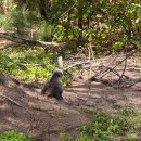 알바트로스골프장 이미지