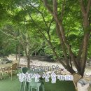 강천산 힐링가 | [전북/순창] 산솔 카페｜애견동반 가능, 계곡 뷰가 예쁜 강천산 카페