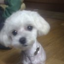 우리탕 이미지