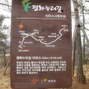 고랑포길 이미지