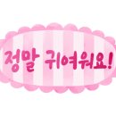 교동초등 이미지