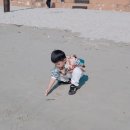 땅끝해양 자연사박물관 이미지