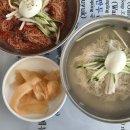 원주 단계동 냉면 맛집 &#39;천진함흥냉면&#39; 새콤매콤 자극적인 비냉을 좋아한다면 추천