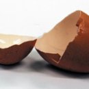 조선껍데기 이미지