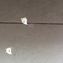 수원권선꿈에그린아파트 | 수원 권선꿈에그린 아파트 삼성 85인치 벽걸이TV설치 가능?