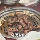 여수동진갈매기 | 성남 여수동 유명갈매기 가족외식 맛집 돌아기와 방문후기