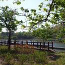 웅천 소류지 이미지