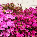 초원가든 이미지