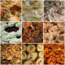 퀸즈 | 대구 반월당 맛집 가성비 뷔페 애슐리 퀸즈 평일런치 후기 및 가격 꿀팁