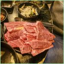 열이네