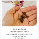 김양호 | 학익동 한방다이어트 찾는다면? 체감다이어트 체험기 소개