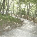 거제자연휴양림 이미지