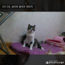 영진건강원 - 창녕군 창한로 127 | 영진건강원