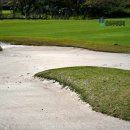 그린필드 컨트리클럽 이미지