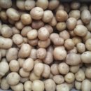 번성농장 이미지