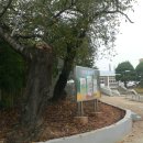 백산초등학교 이미지