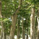 녹색관광정거장 이미지