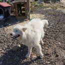 제주플래티늄카라반 이미지