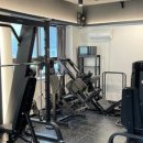 뉴욕피티 이미지