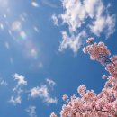 수채화 캘리그라피(주간) 이미지