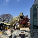 서대문자연사박물관 | 서울 아이랑 가볼만한곳 서대문자연사박물관 주차 주말방문후기