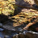 생초주유소 이미지