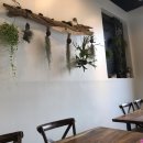 신사스타약국 이미지