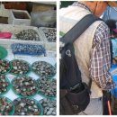 하남수산물전통시장 이미지