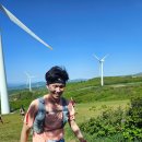 정욱목장 | 2024 TNF100 50K 두번째 완주 후기 강릉 노스페이스 트레일러닝