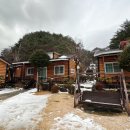 오대산늘벗