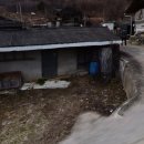 스테이담 이미지