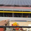 장균농장 이미지